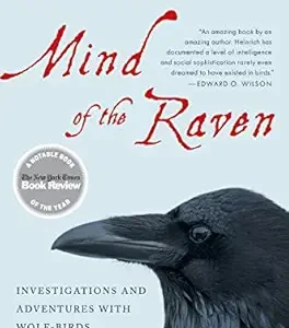 Mind Of The Raven